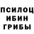 ГАШ гашик Inessa white