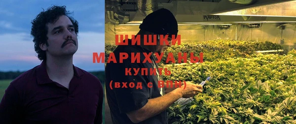 спайс Алзамай