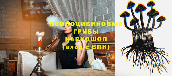 спайс Алзамай